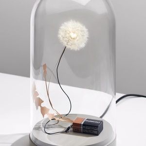 Dandelight Lamp/Ambient Light
